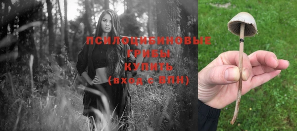 а пвп мука Аркадак