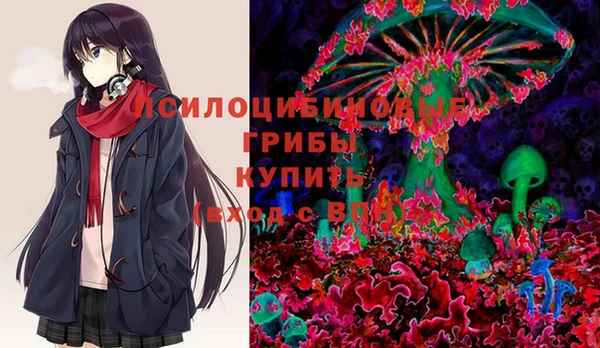 Альфа ПВП Арсеньев