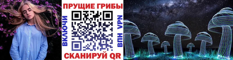 Галлюциногенные грибы Magic Shrooms  Лукоянов 
